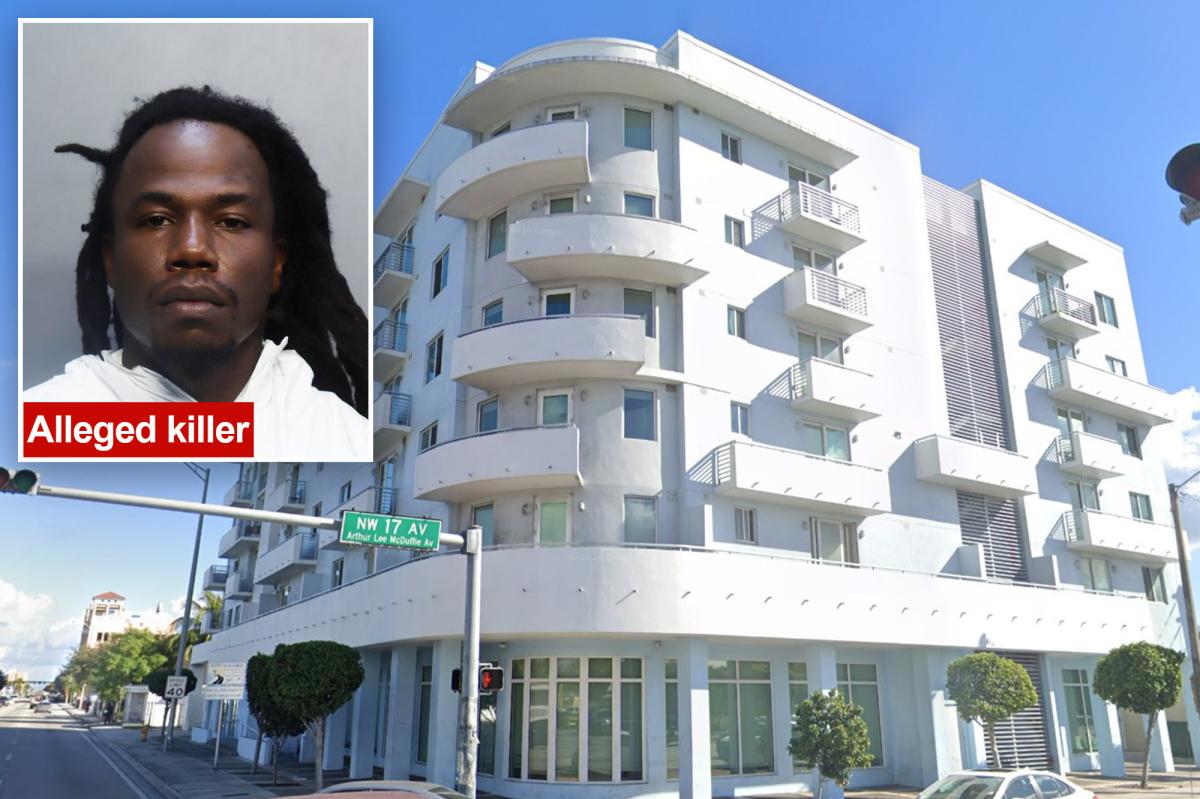 Florida brothers shot dead by their sister's boyfriend after they rushed to apartment to protect her: cops