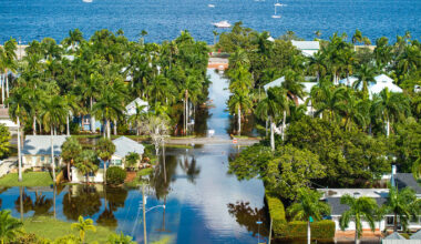 A coastal Florida neighborhood with palm trees and flooded roadways