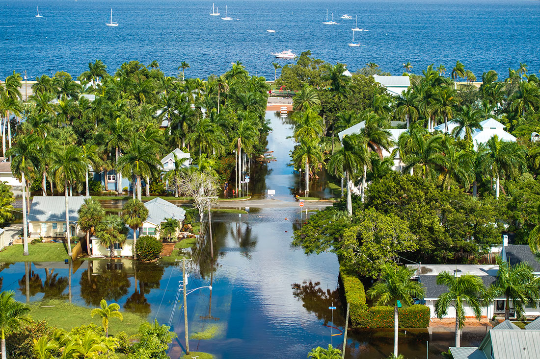 A coastal Florida neighborhood with palm trees and flooded roadways