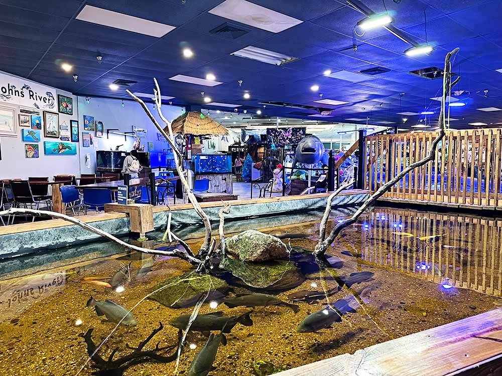 Floating Sea Aquatics - Aquarium in Jacksonville, FL