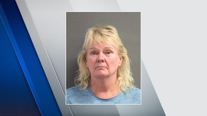 Florida woman accused of roadway wasp spray attack