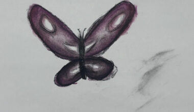 Exhibits on display at BIG ARTS - SANIBEL-CAPTIVA