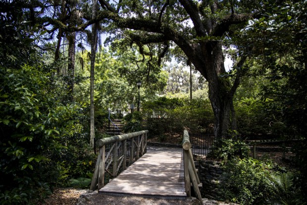 3.6 acres of natural space await visitors at Dickson Azalea Park in Orlando on Wednesday, May 5, 2021.