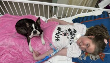 Broward Children’s Center Introduces Animal-Assisted Therapy Program with Certified Therapy Dog