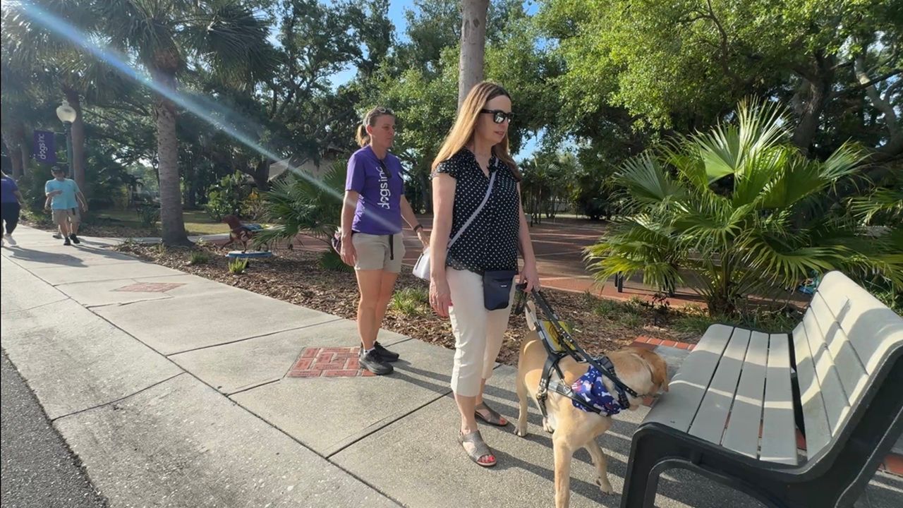 Yvonne Guettler and her guide dog Fleury are a strong team. Through Dogs Inc, the two were paired in 2024 with the goal of helping Yvonne navigate daily life. (Spectrum News/Julia Hazel)