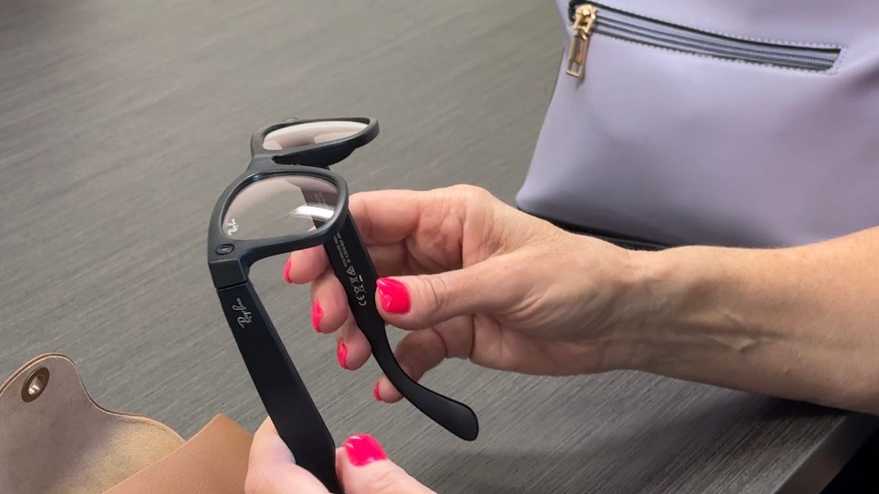 Dogs Inc plans to expand the program, with a goal of outfitting all 400+ of its graduates with AI glasses eventually. (Spectrum News/Julia Hazel)