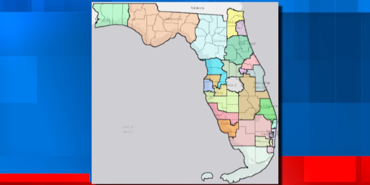 Florida Governor Ron DeSantis’ proposed congressional redistricting map passes the Senate