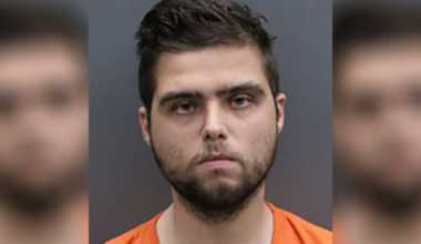 Tampa man arrested on 100 counts related to child pornography, bestiality