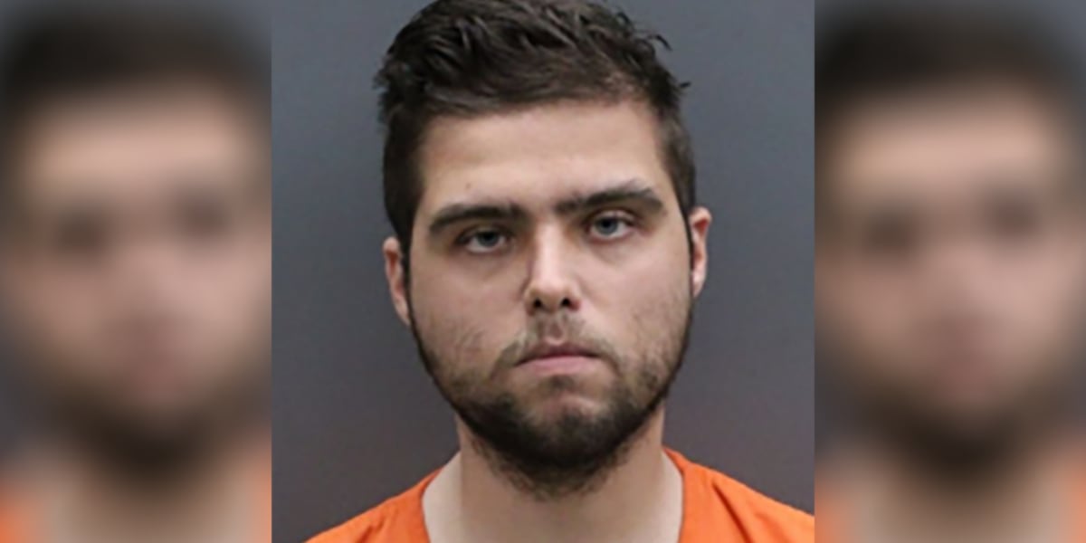 Tampa man arrested on 100 counts related to child pornography, bestiality