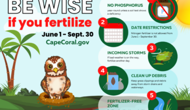 article image -