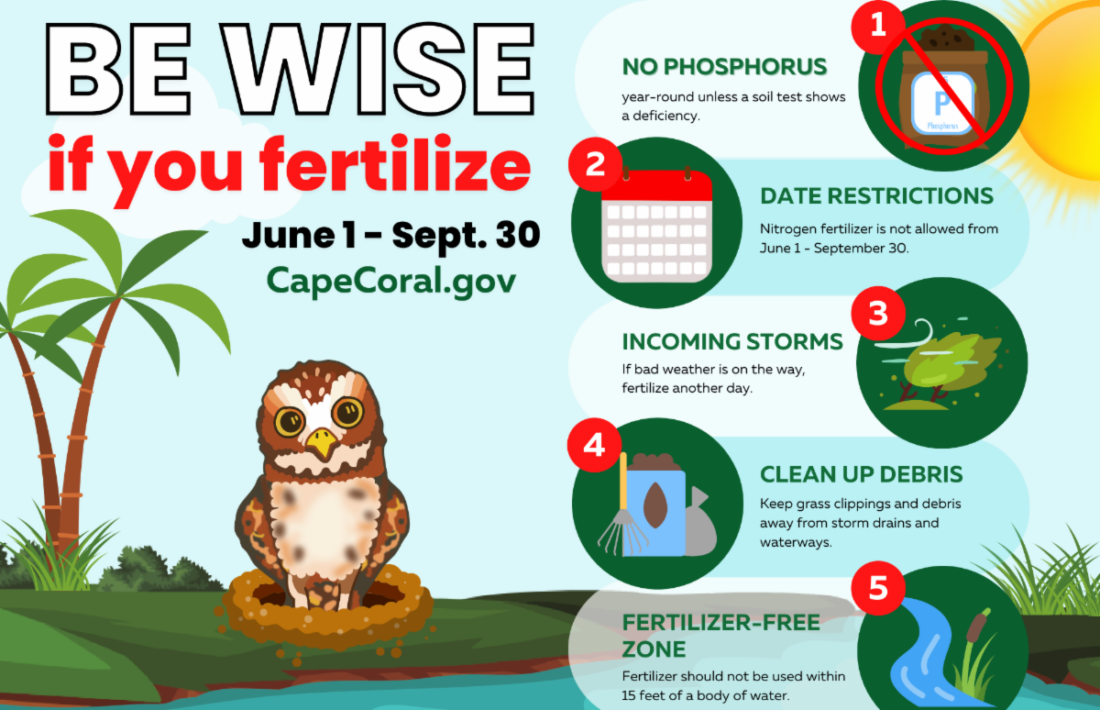article image -