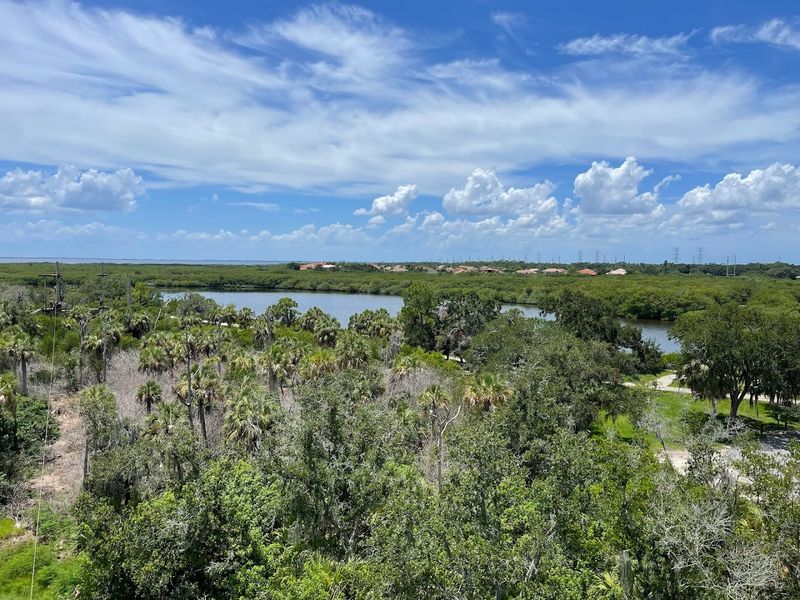 Beautiful Florida Nature Surrounding the Entire Course