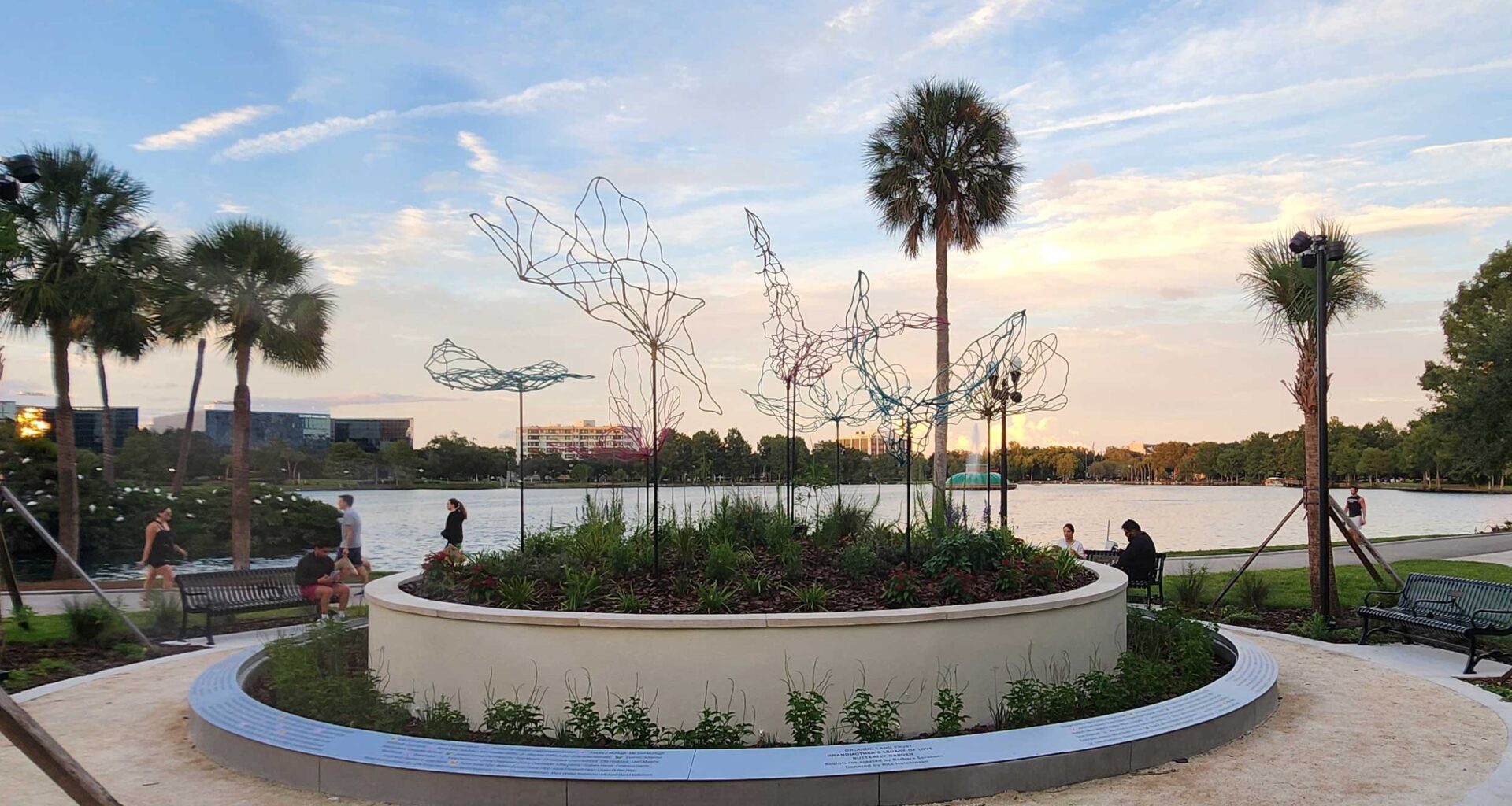 Lake Eola Swans to be rehomed