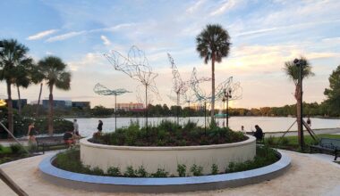 Lake Eola Swans to be rehomed
