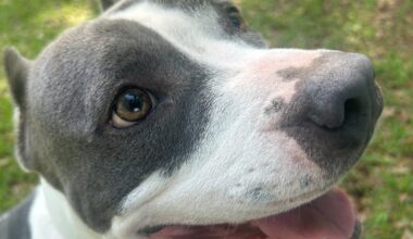 Furry Friday: Summer break is always better with a new best friend!