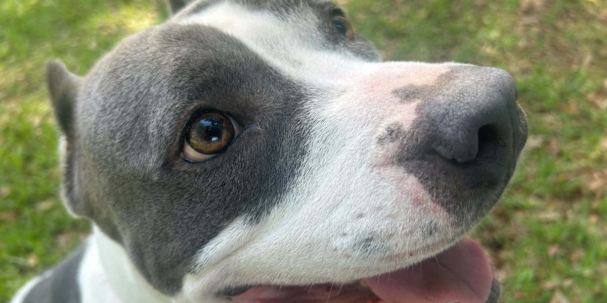 Furry Friday: Summer break is always better with a new best friend!