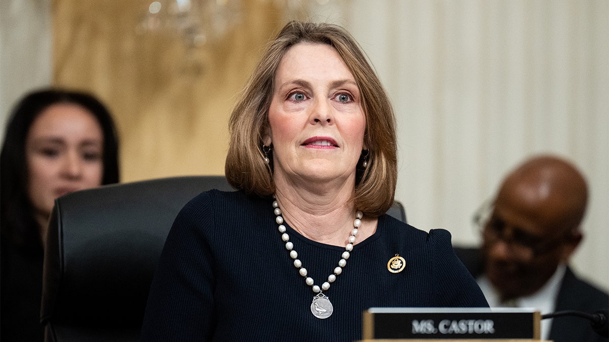 Rep. Kathy Castor, D-Fla.