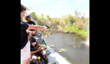 A screenshot of a video showing a man shooting at an object in the water.