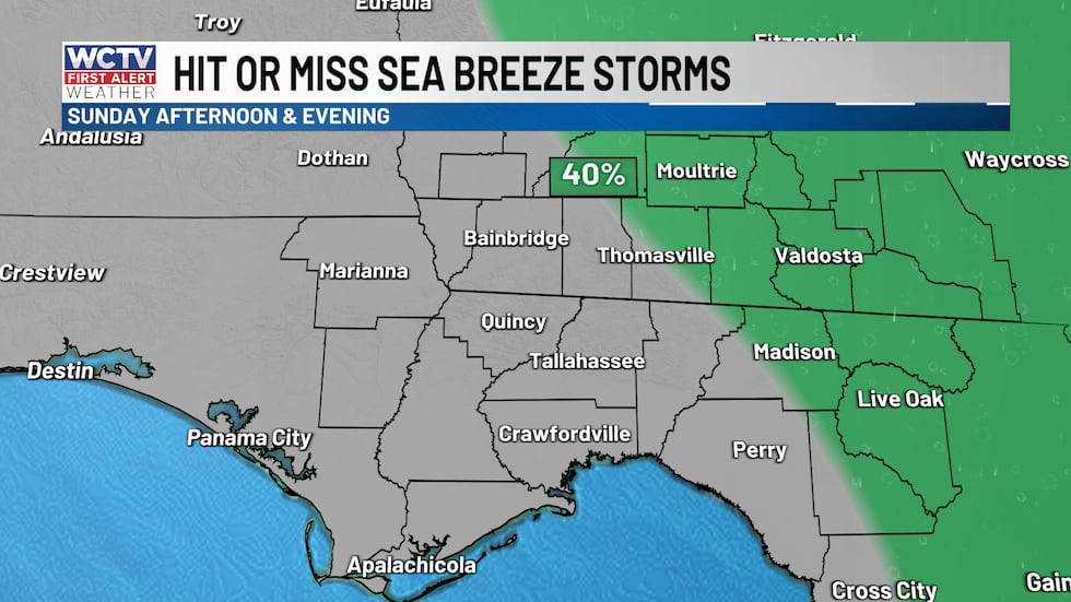 Scattered showers and thunderstorms this afternoon for the eastern Big Bend and Eastern Georgia.