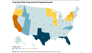 New 'autopsy' reveals Democrats expect Florida to have 32 congressional seats by 2032