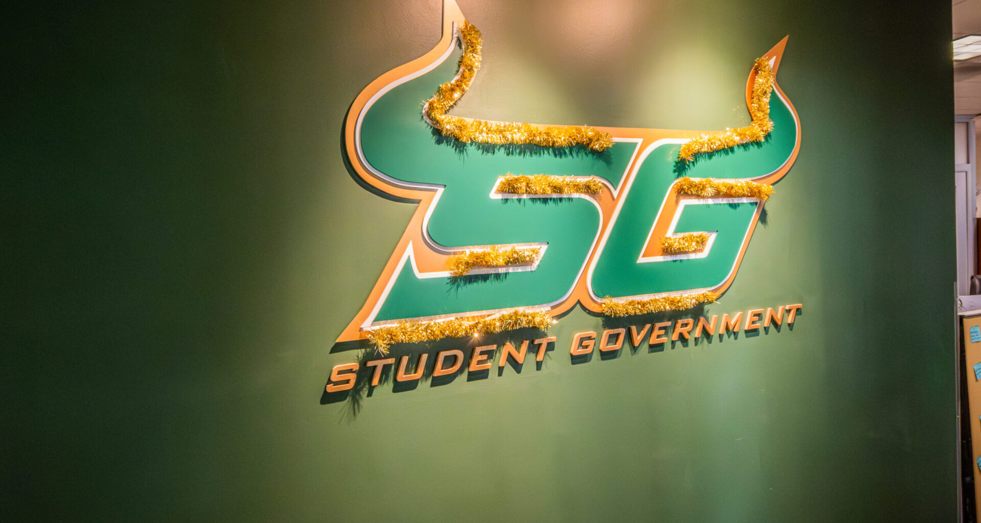 USF SG releases certified general election results 