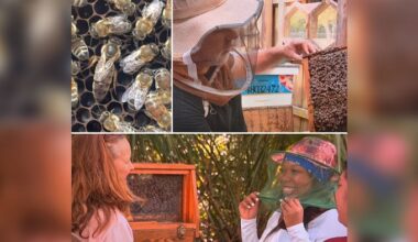 What Connects Us: A closer look inside the Broward Beekeepers Association