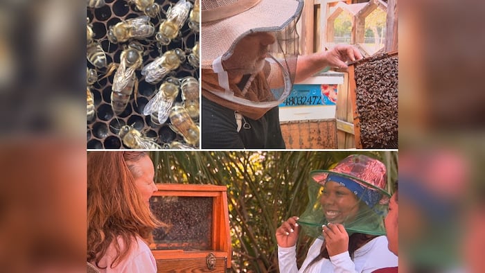 What Connects Us: A closer look inside the Broward Beekeepers Association