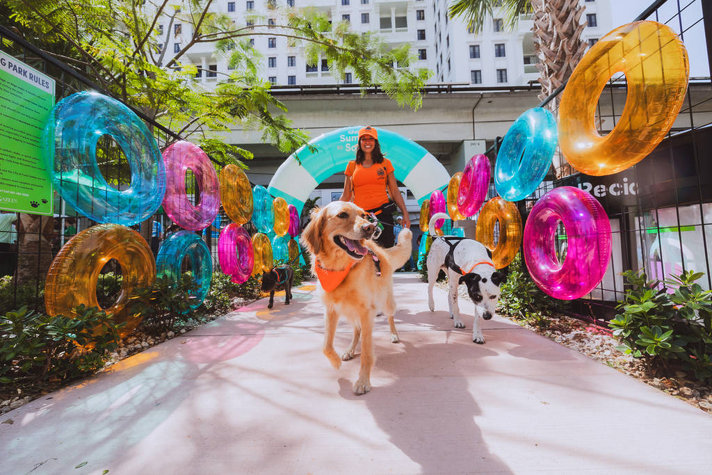Dogs Walking In