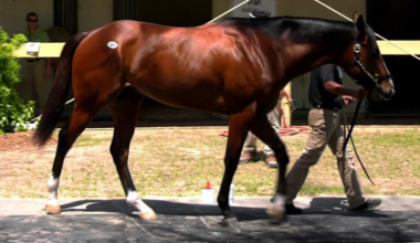 Central Florida once again at the center of the Kentucky Derby