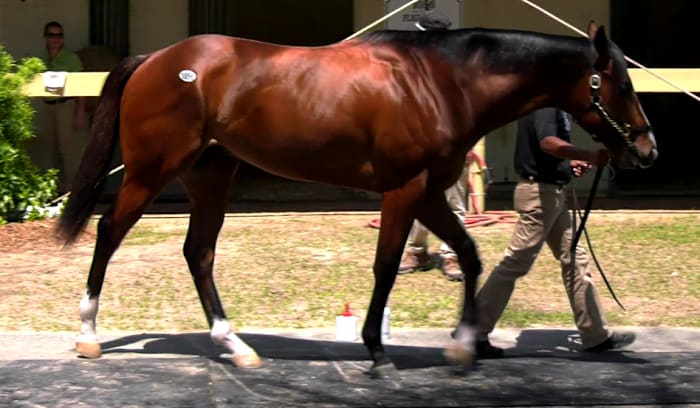 Central Florida once again at the center of the Kentucky Derby