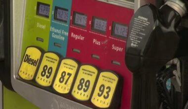 No gas tax cut, but Florida lawmakers line up breaks on guns and outdoor goods