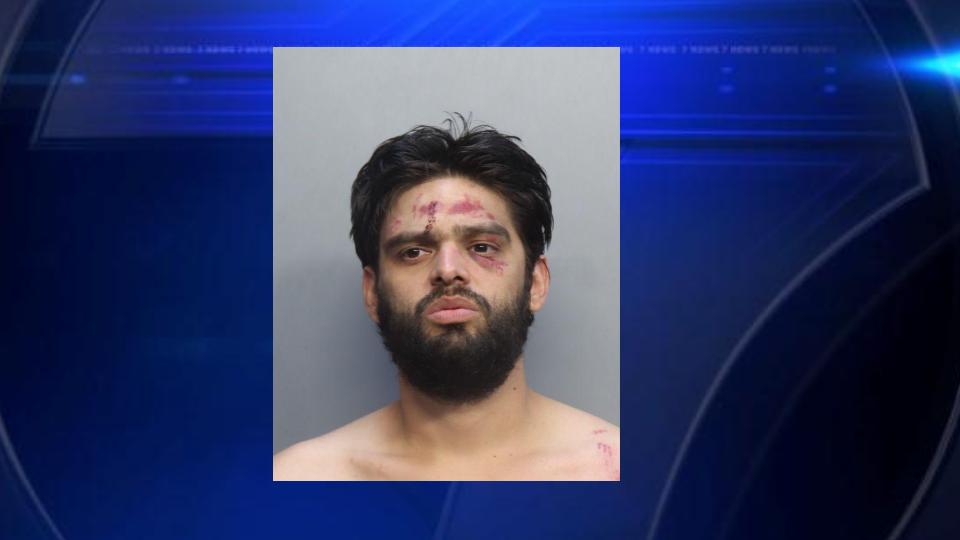 Miami man accused of hitting mother after dispute over drugs, police say - WSVN 7News | Miami News, Weather, Sports