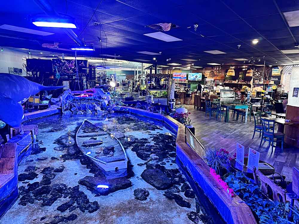 Floating Sea Aquatics - Aquarium in Jacksonville, FL