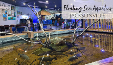 Floating Sea Aquatics - Jacksonville, FL Aquarium and Touch Tanks