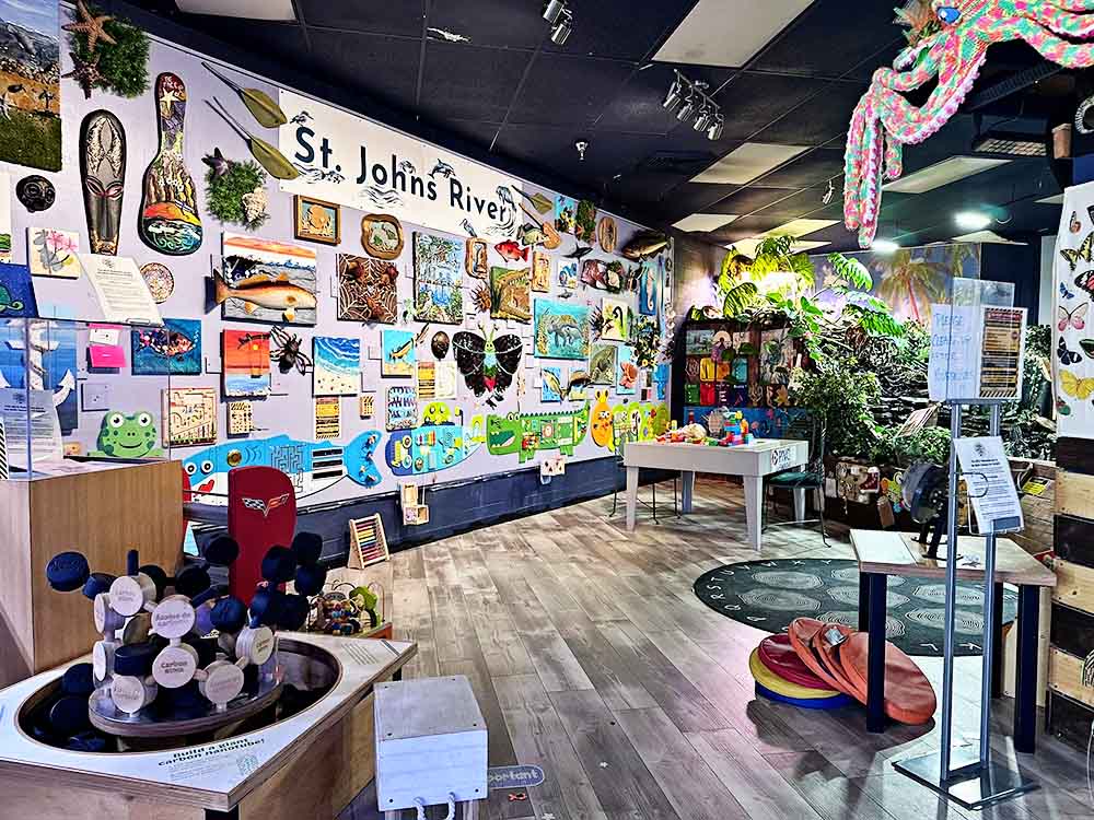 Floating Sea Aquatics - Aquarium in Jacksonville, FL - Sensory Play Area