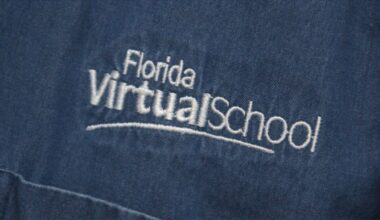 FLVS must rival's fees after spending millions, losing case