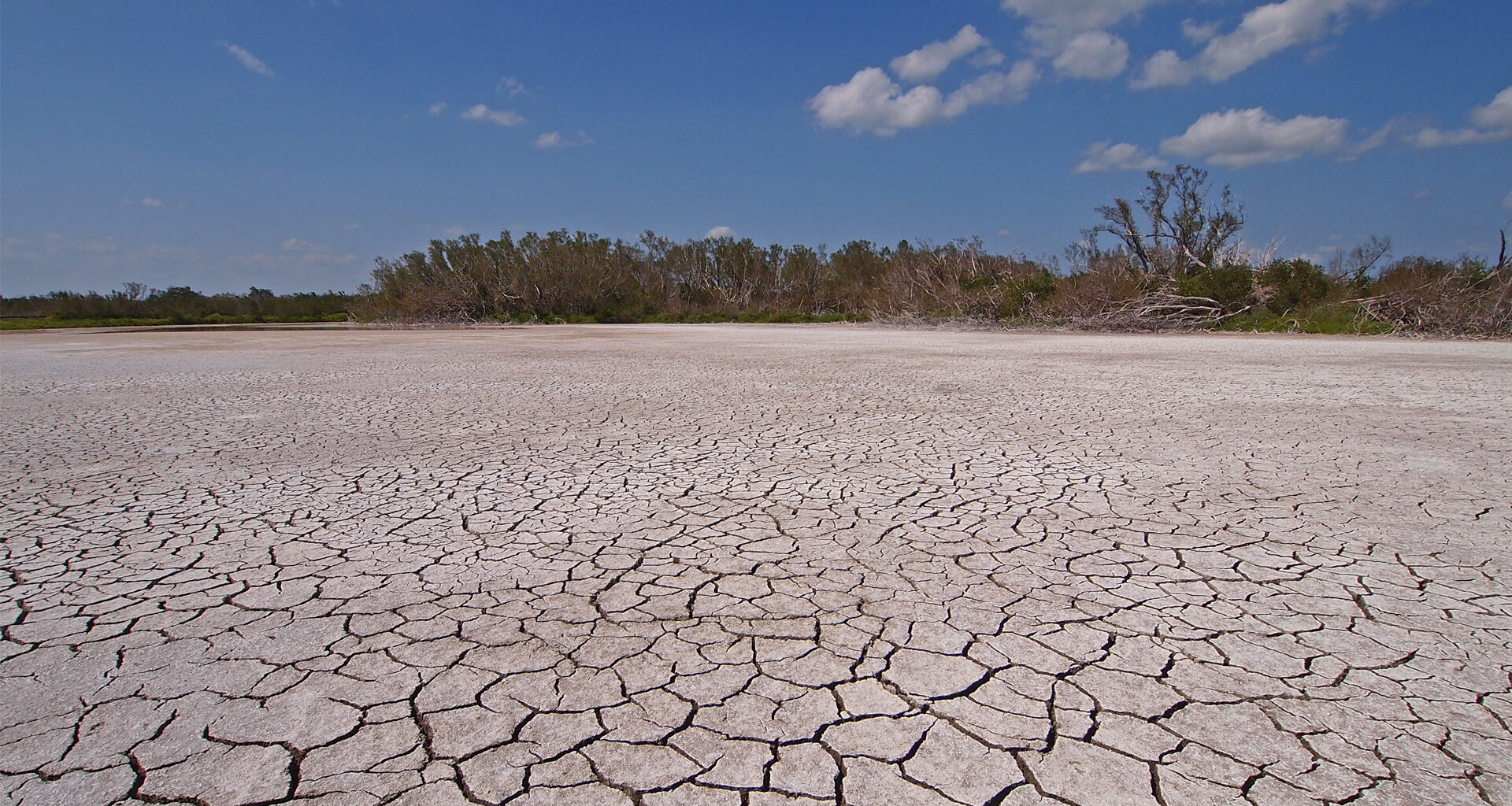 Miami’s drought wake-up call: Everglades restoration is our water insurance