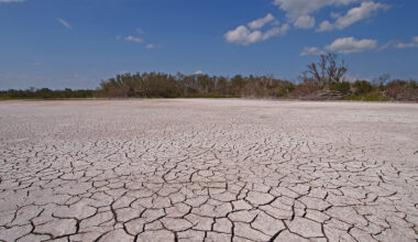 Miami’s drought wake-up call: Everglades restoration is our water insurance
