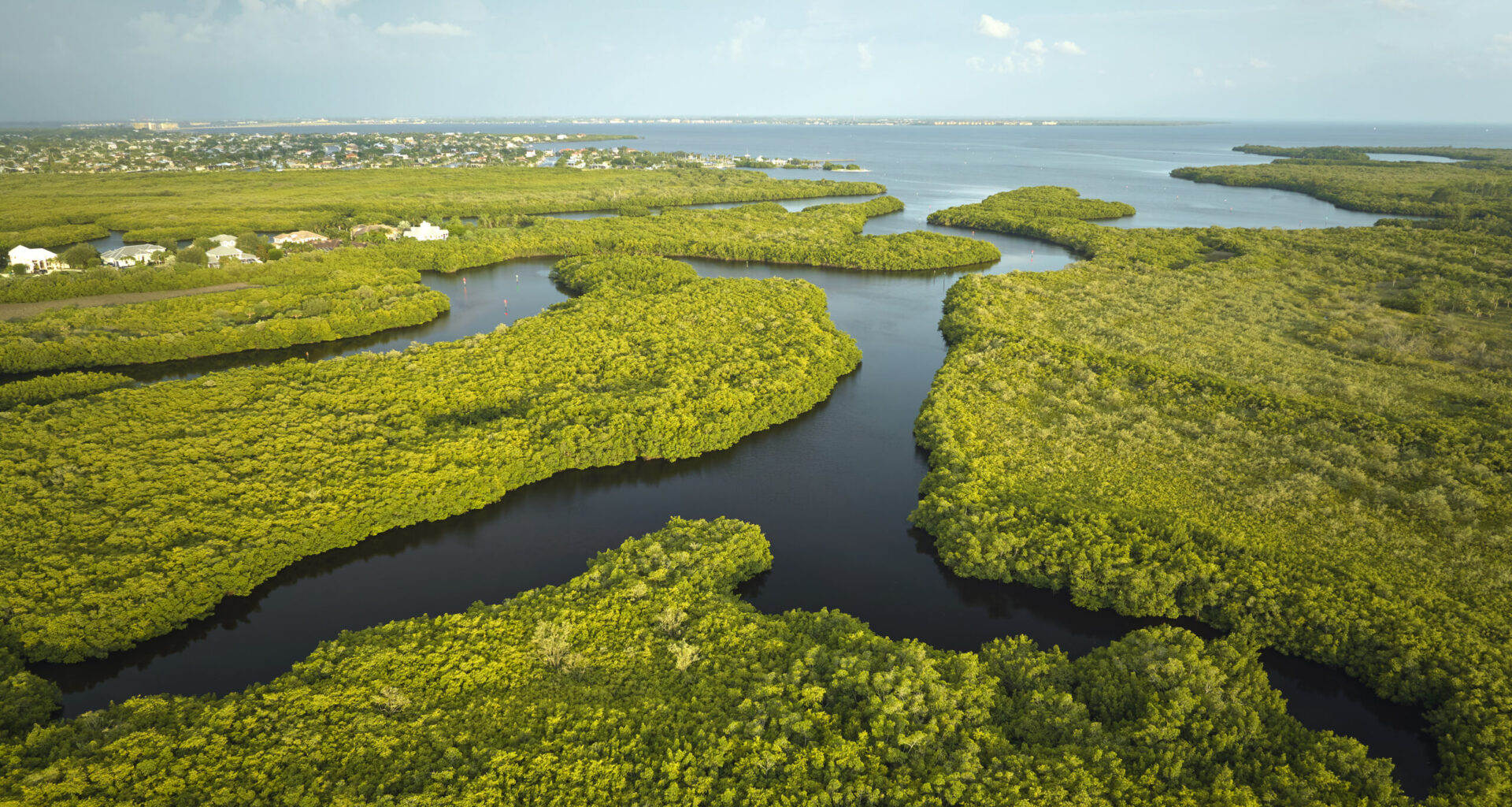 wetlands in Florida