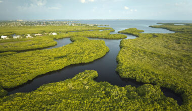 wetlands in Florida