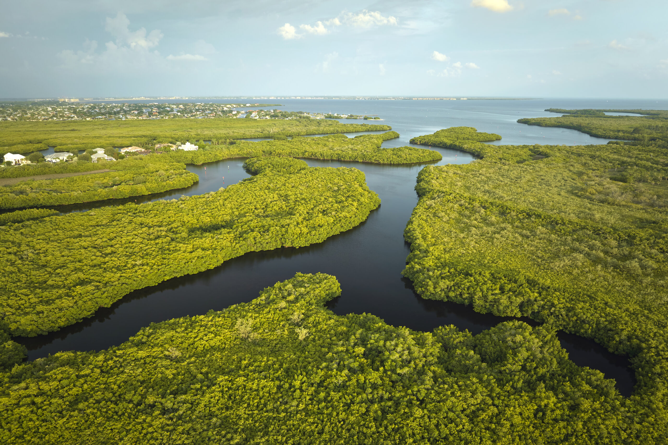 wetlands in Florida