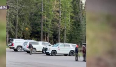 South Florida man killed in apparent bear attack in Montana, Sun Sentinel says – NBC 6 South Florida