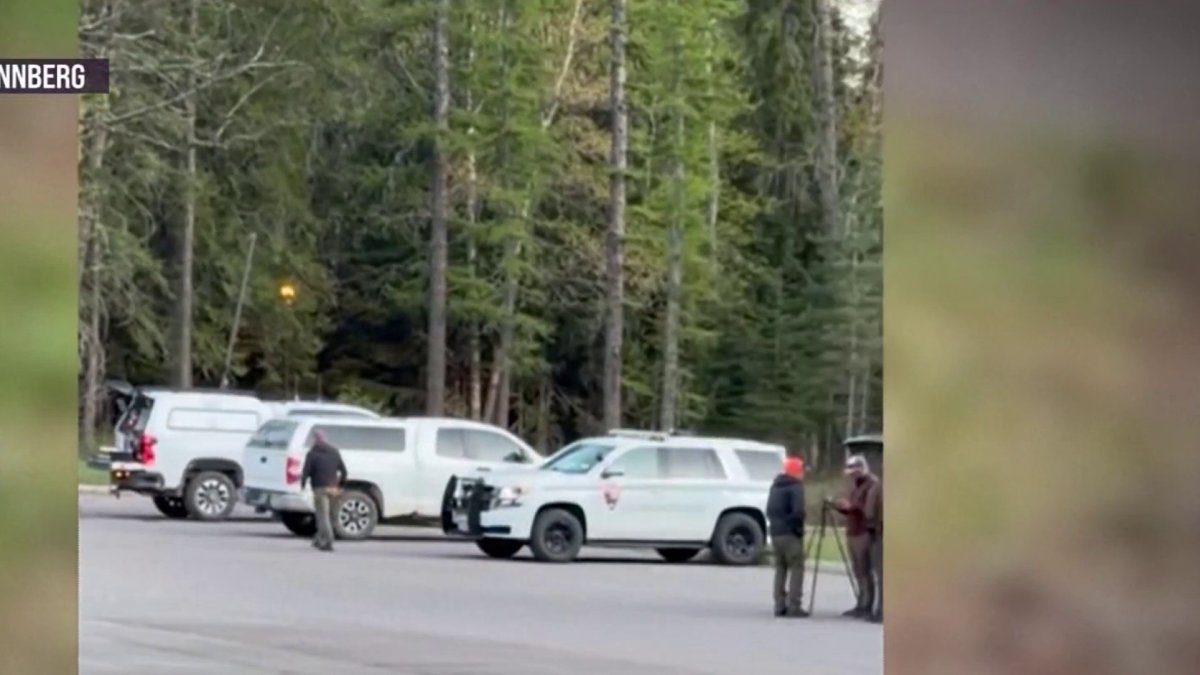 South Florida man killed in apparent bear attack in Montana, Sun Sentinel says – NBC 6 South Florida