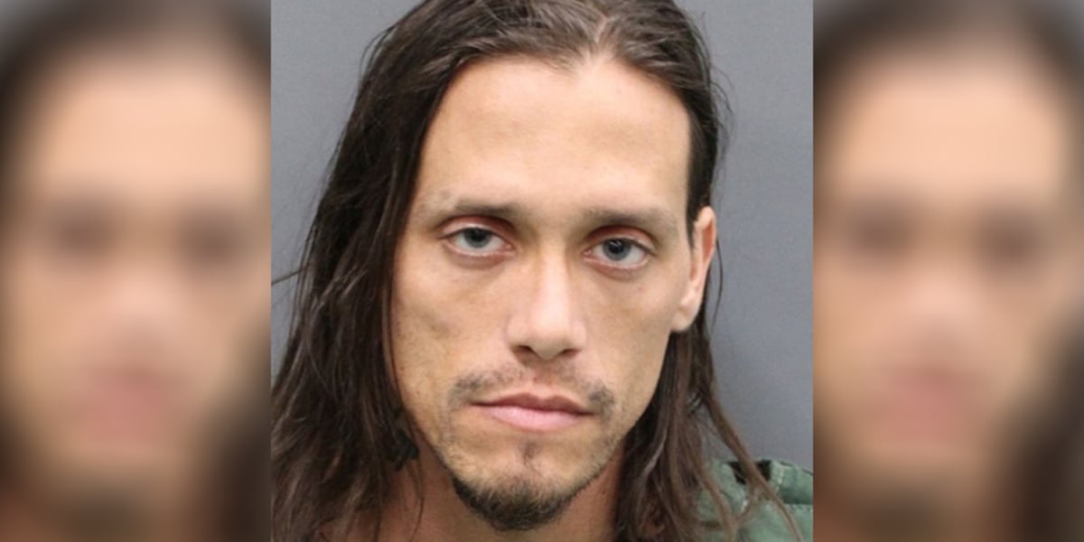 Man arrested after road rage shooting across Hillsborough County roadways