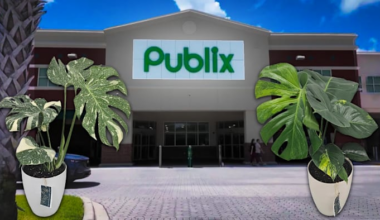 Publix is selling rare plants for a limited time in these Florida cities