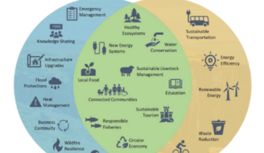 Guest commentary: What does ‘resilience’ for Sanibel Island mean to you? - SANIBEL-CAPTIVA