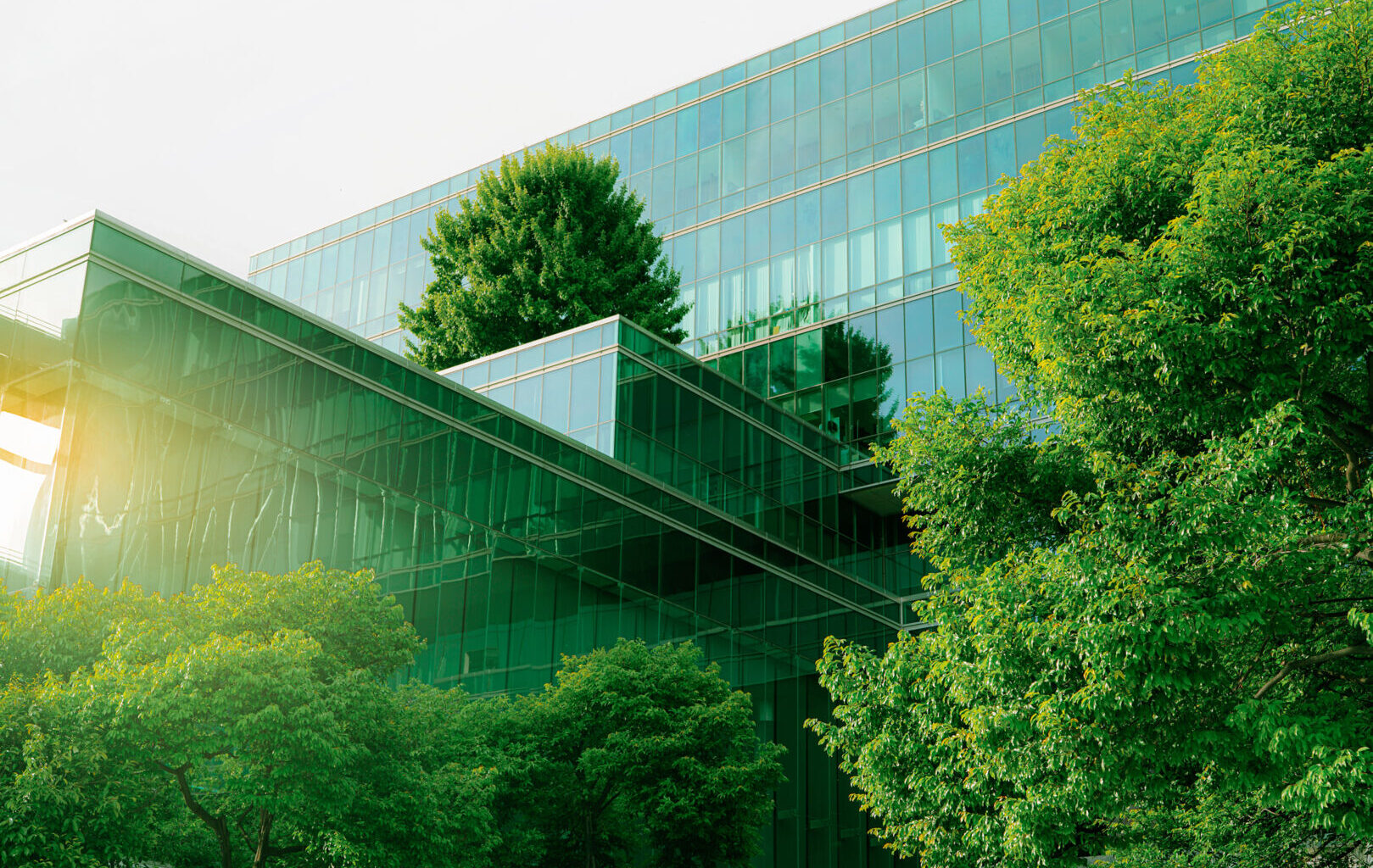 Florida’s HB 1217: Practical Considerations for Private Fund Managers