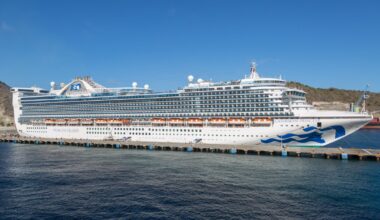 115 sick with norovirus on Caribbean Princess cruise ship, CDC says – NBC 6 South Florida