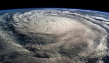 Florida property insurance experts cautiously optimistic ahead of hurricane season – NBC 6 South Florida