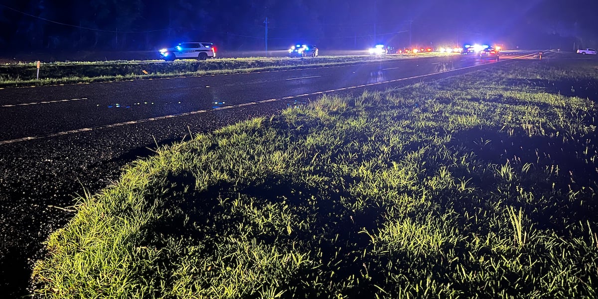 FHP: One dead, two in critical condition following single-vehicle crash in Leon County